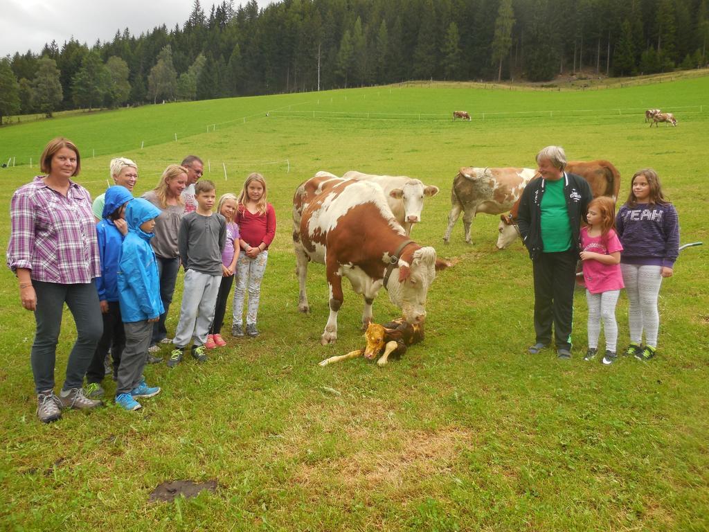Hansalagut Mauterndorf (Salzburg) Exterior foto